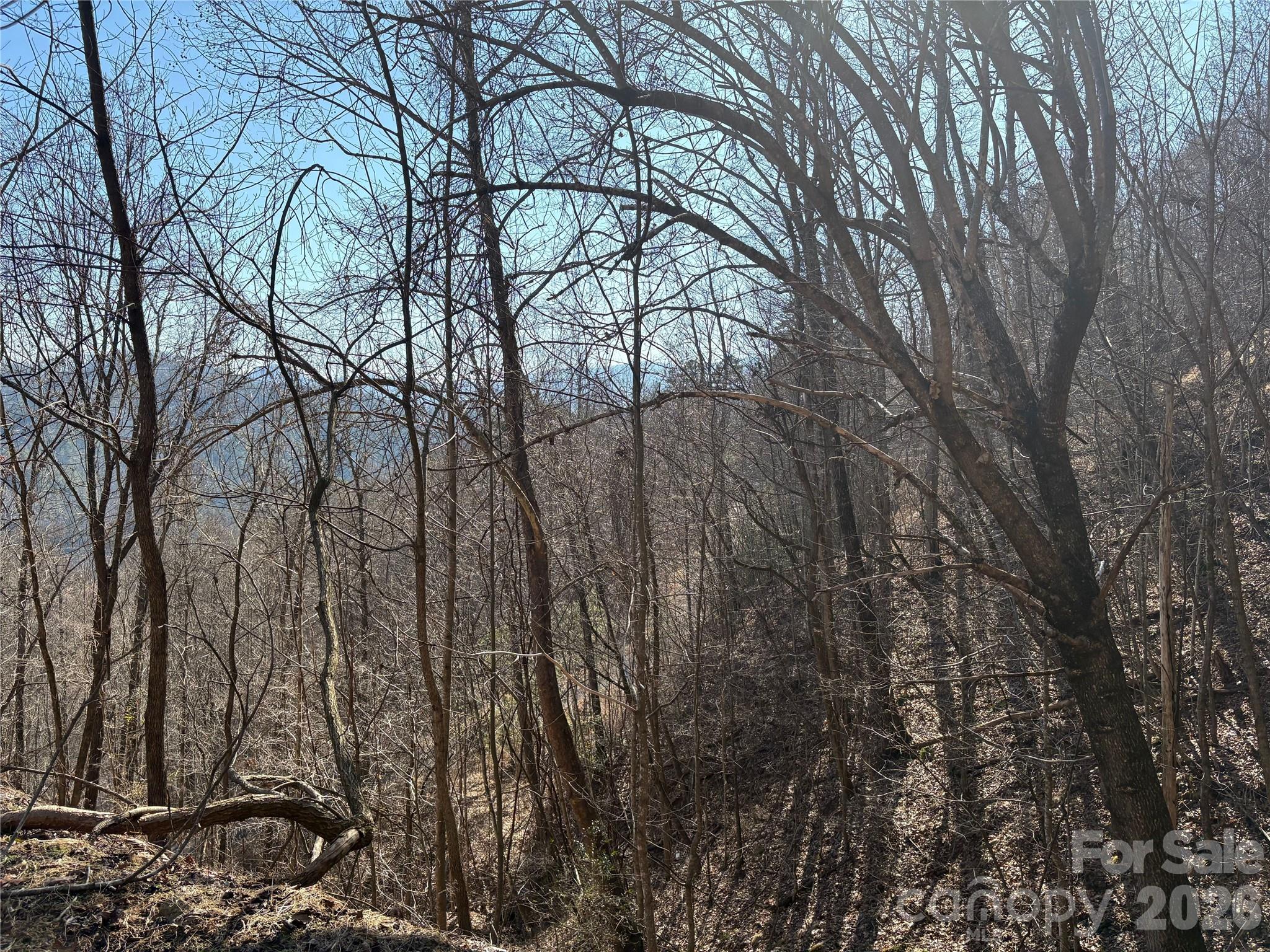 Mountain Overlook - Land