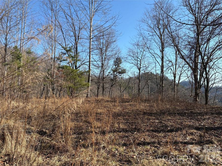 UNRESTRICTED lot with LEVEL AREA AND VIEWS! Welcome to the quiet community of Mountain Overlook in Bryson City. This lot offers a level and cleared area for building, a driveway, and a stream along the neighboring property. Check out these spectacular winter views and envision the potential for year round views with a little tree topping. With 4.65 acres to explore, this property offers its future owner a quiet and private oasis practically ready for building. This community has paved roads throughout and spaced out lots. There is a survey and a three bedroom expired septic permit on file for peace of mind. 
Short term rentals and tiny homes allowed. No HOA. 

Come check out lot 41 or combine it with the adjoining lot 37 for a little over 9 acres of bliss! These lots are located off of NC 28 for easy traveling to Cherokee, the Nantahala, Fontana Lake, and popular hiking trails.