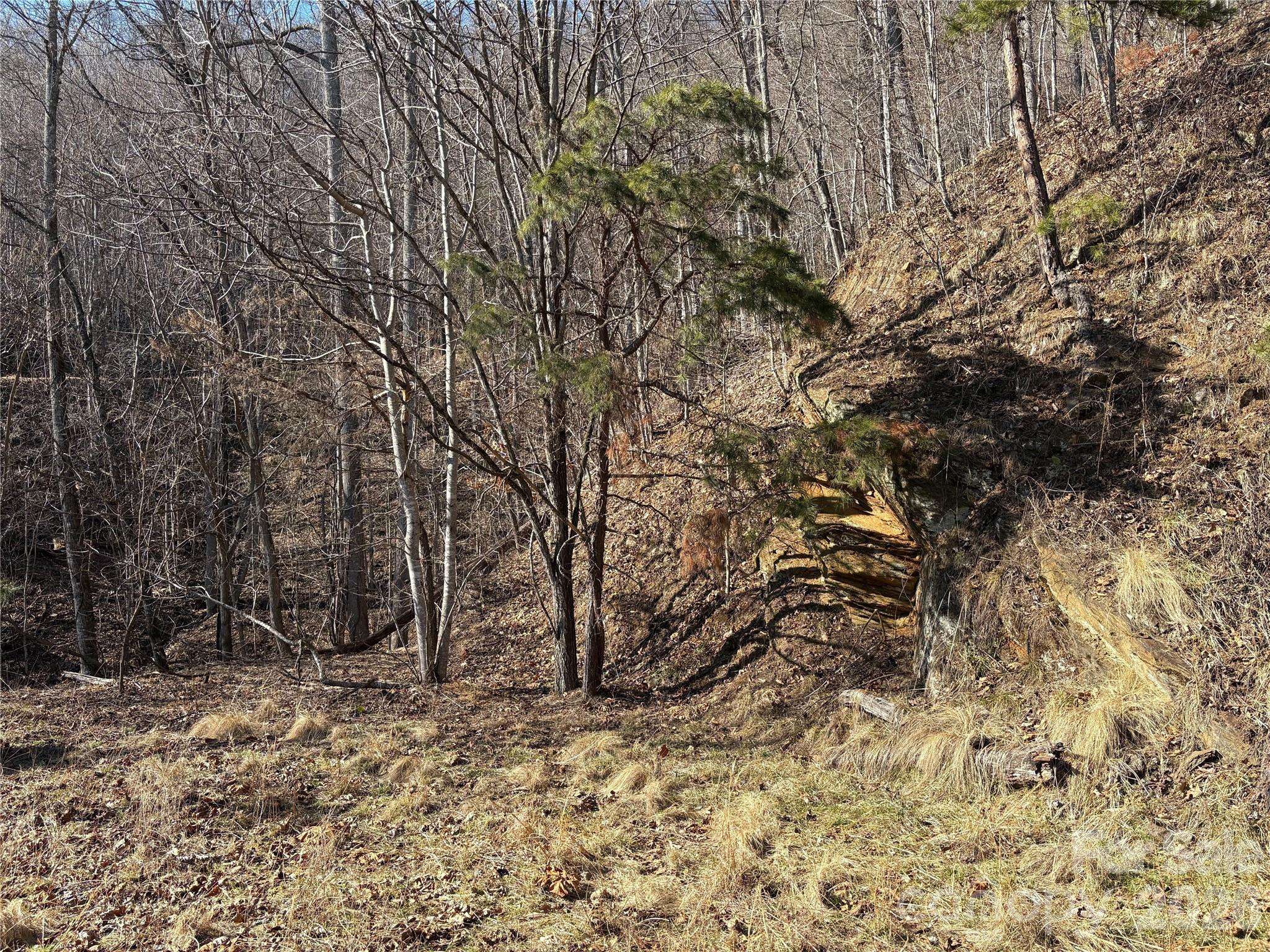 Mountain Overlook - Land