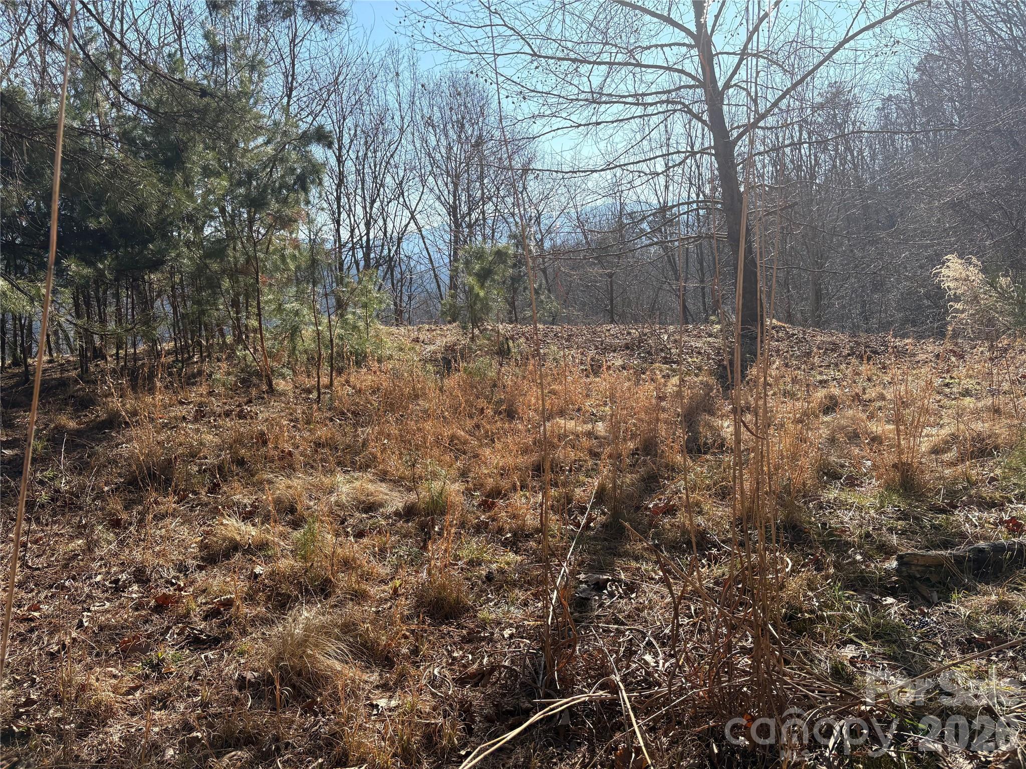 Mountain Overlook - Land
