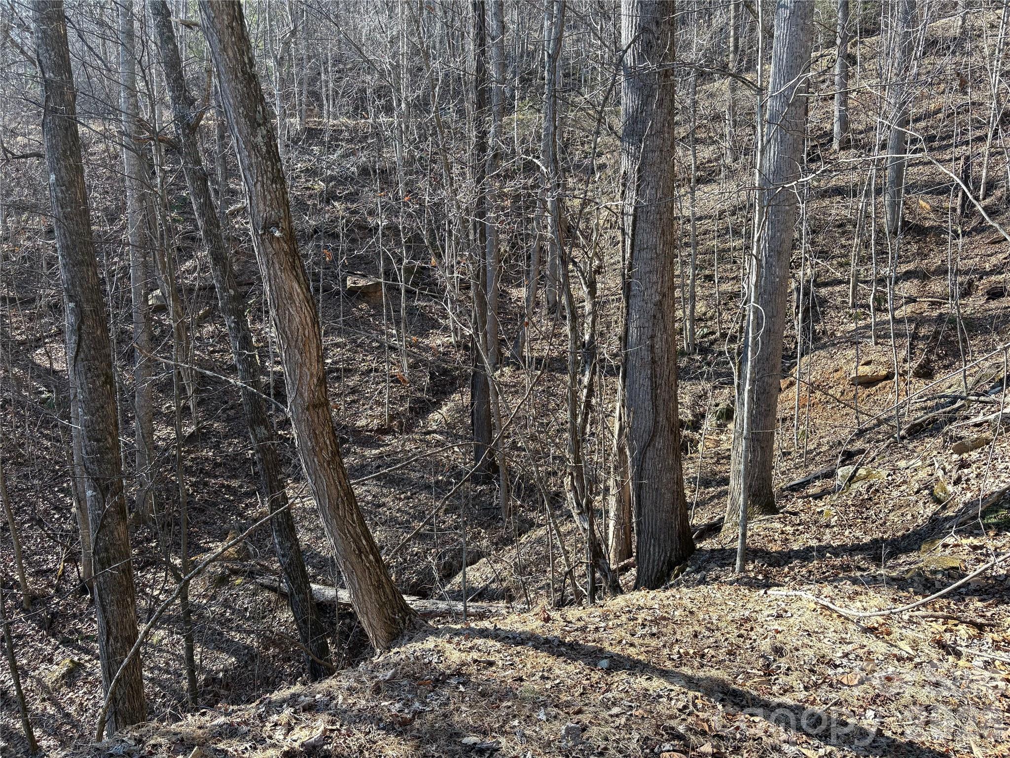Mountain Overlook - Land