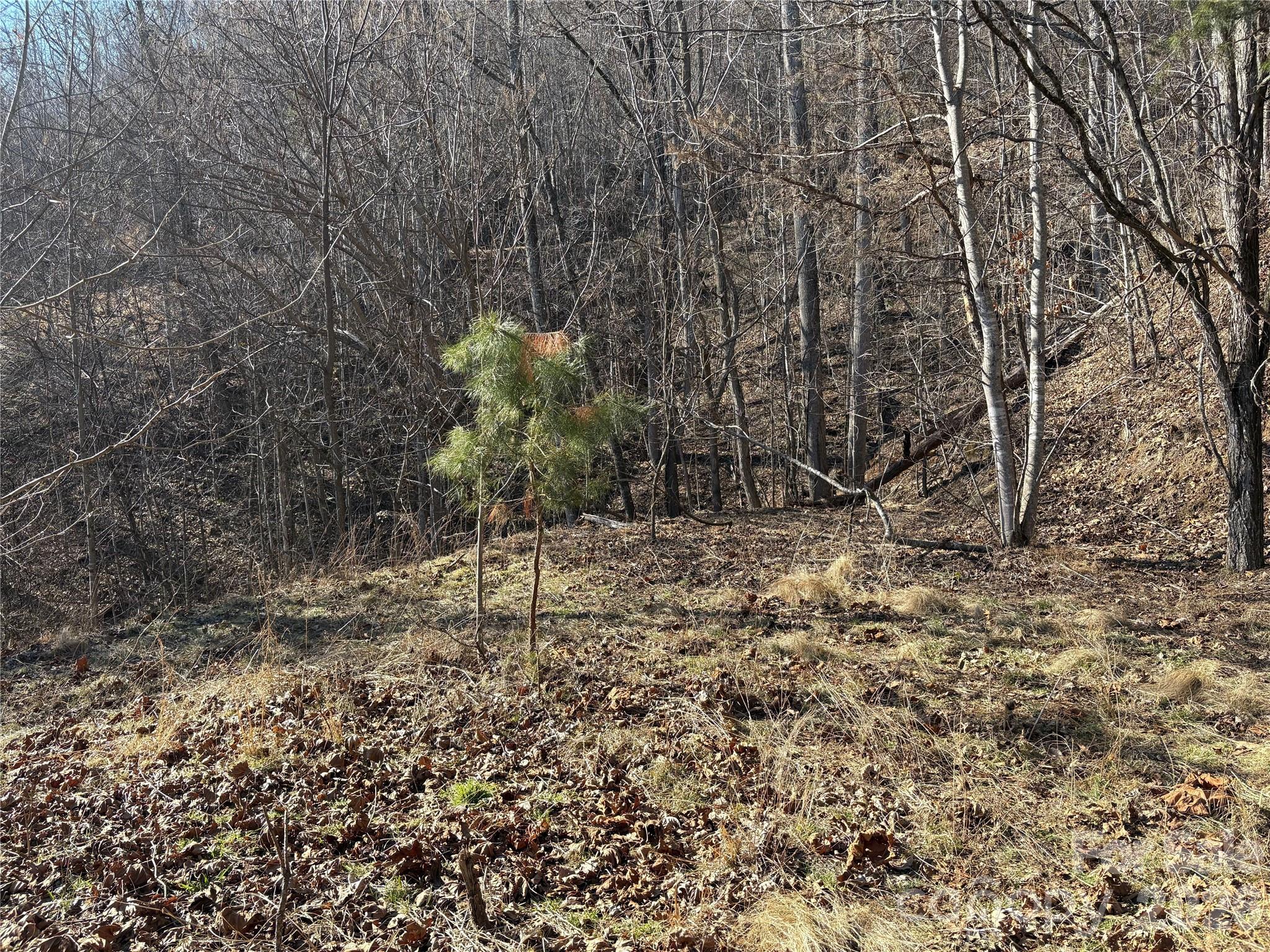 Mountain Overlook - Land