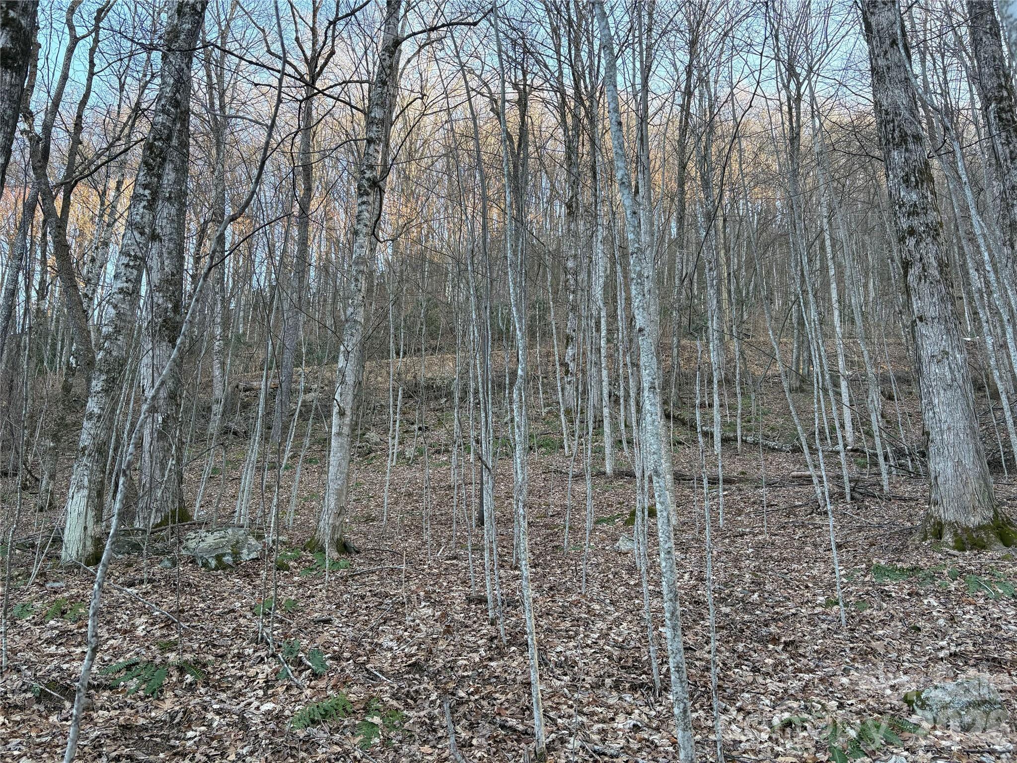 Mountain Overlook - Land