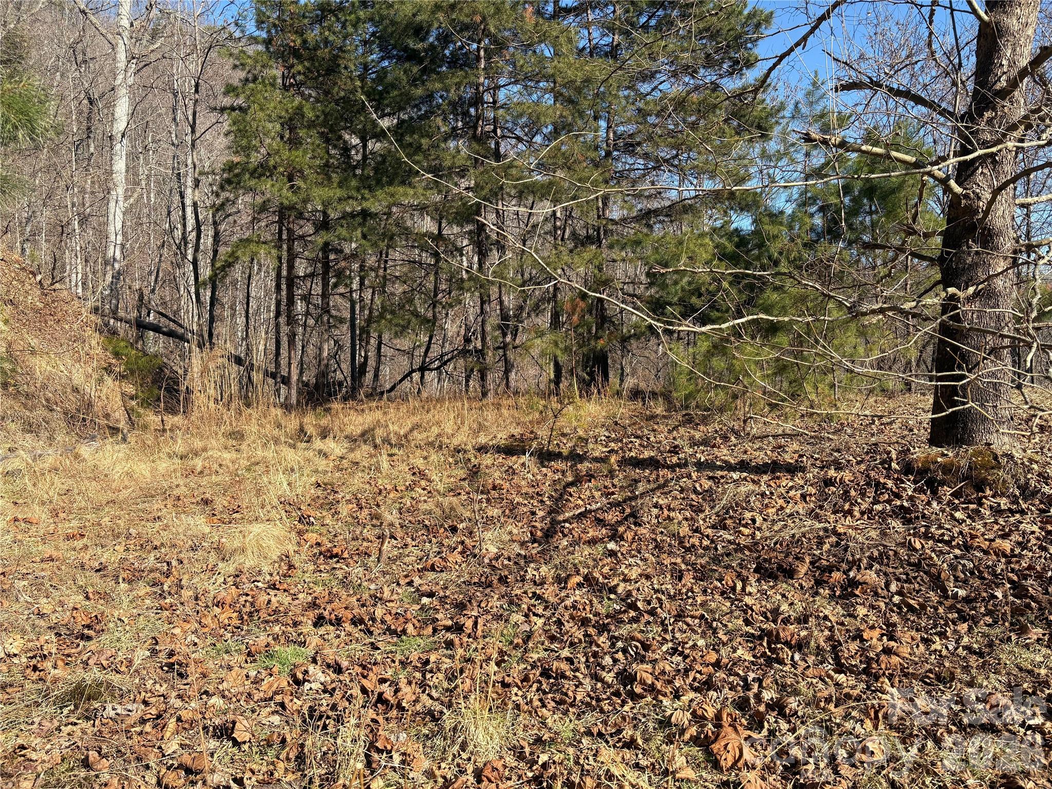 Mountain Overlook - Land