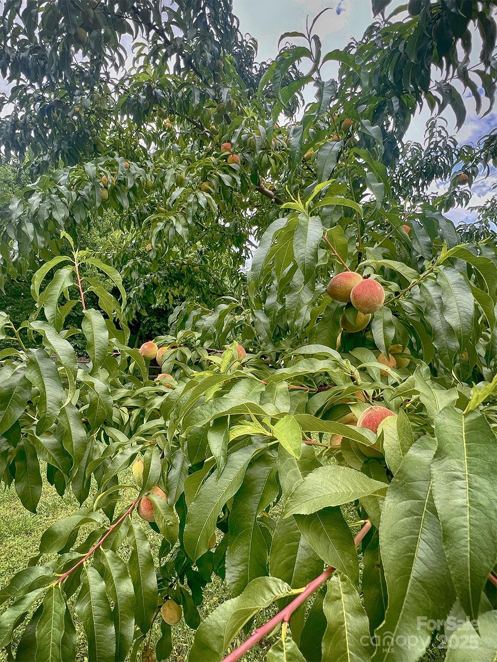 Settlers Landing - Residential