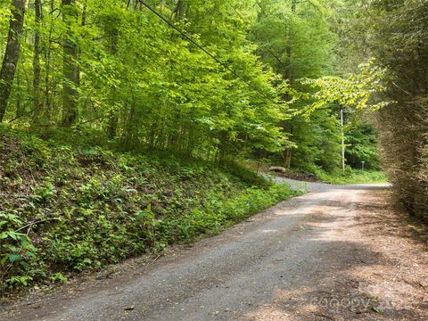 23 Forbidden Cove Waynesville NC 28785