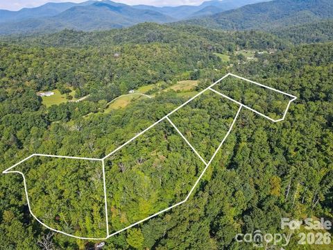 TBD Barts Branch Drive 15 Balsam Grove NC 28708