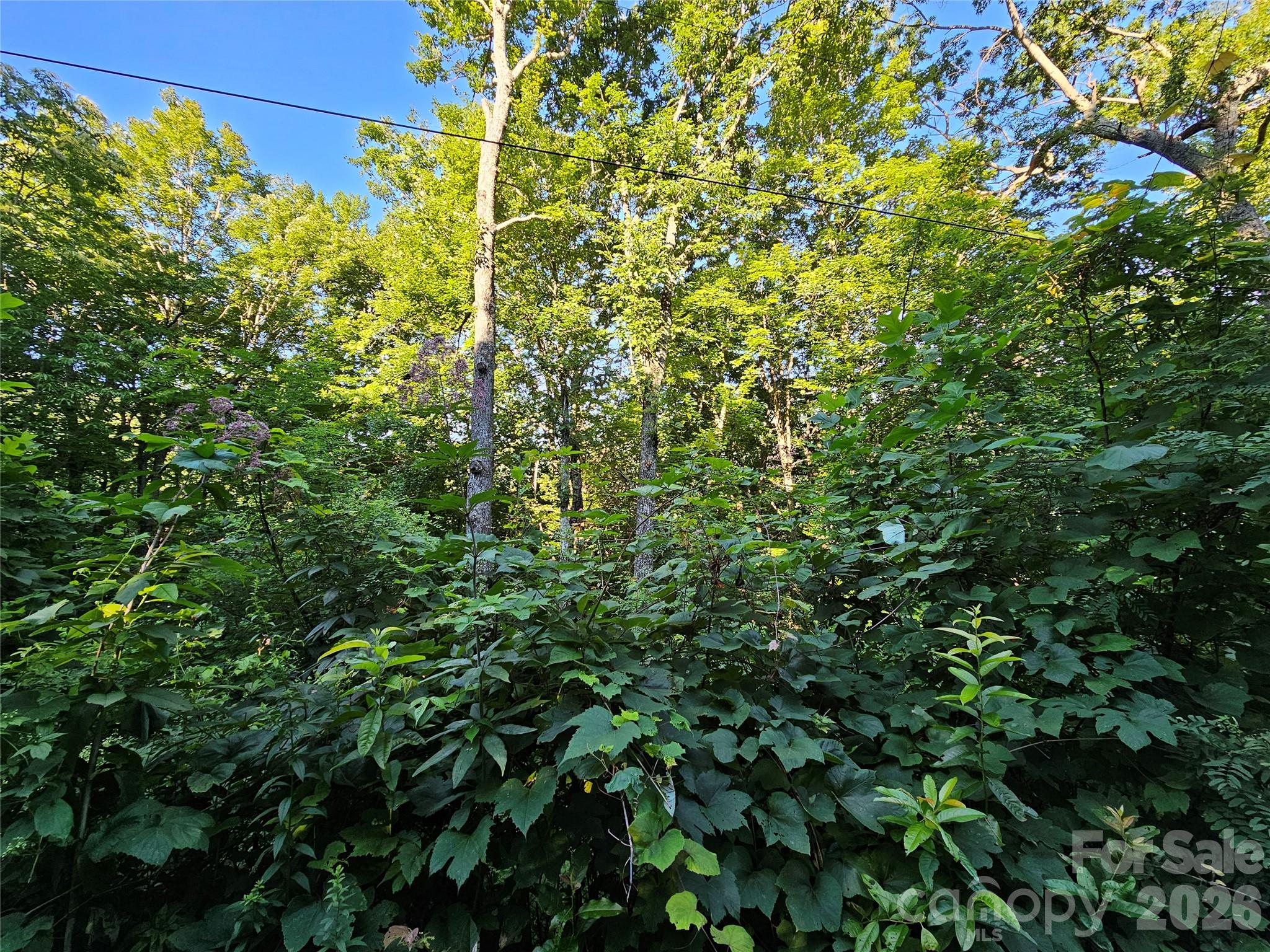 102 Big Ridge Road 102
