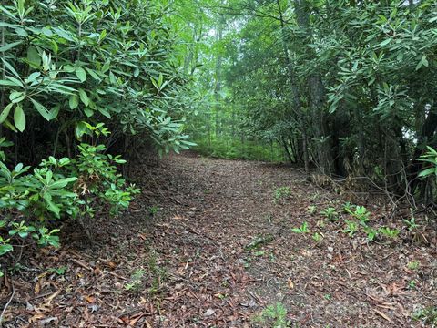 TBD Blueberry Trail 14 Lake Toxaway NC 28747