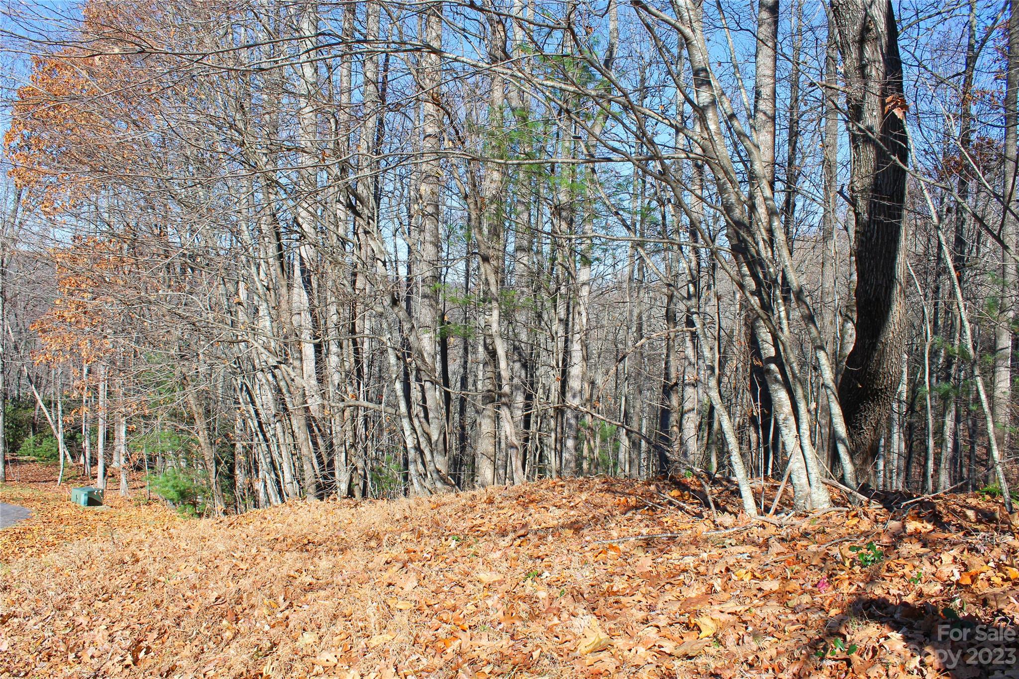 74 Poplar Forest Trace 107