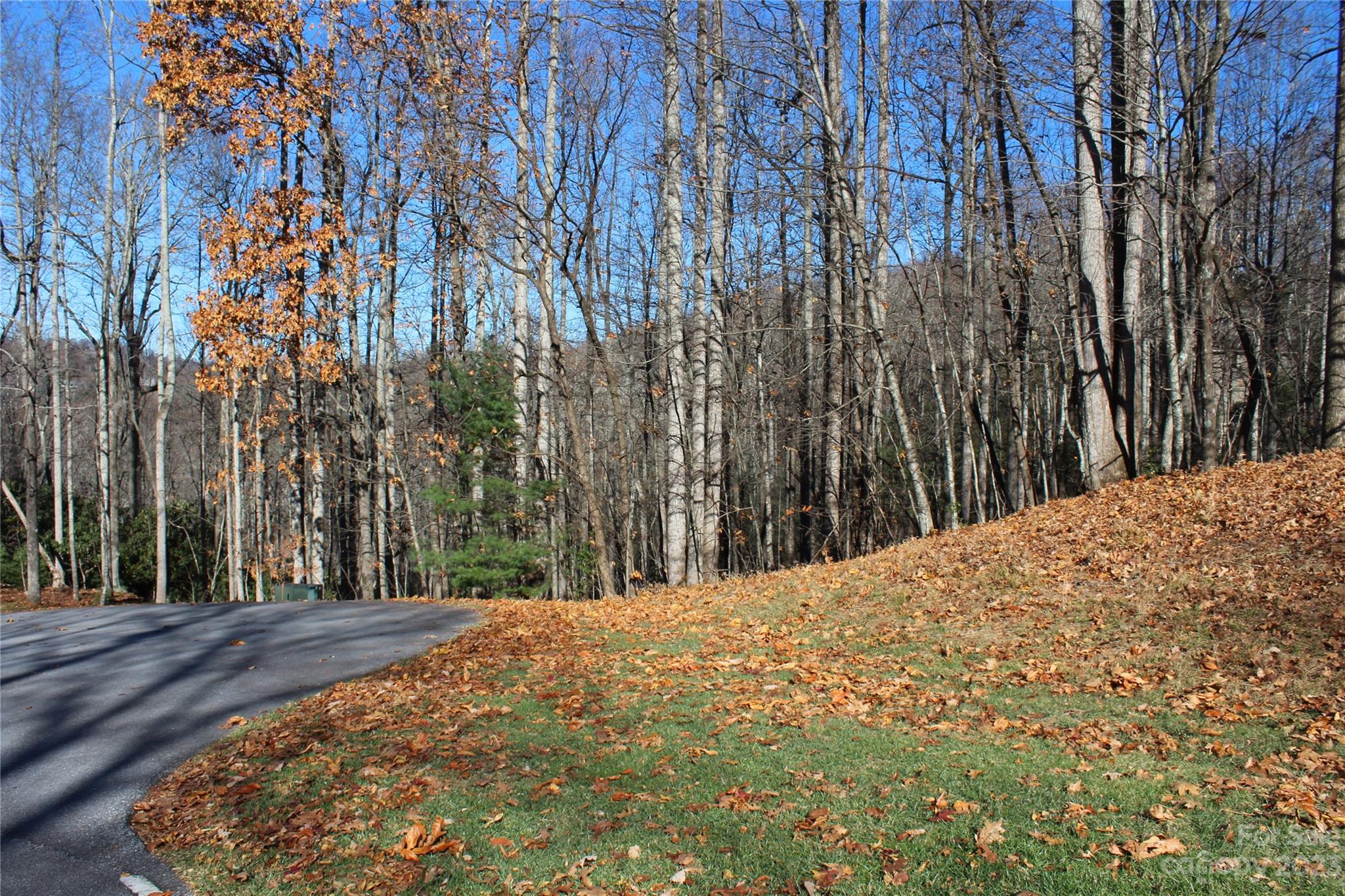 74 Poplar Forest Trace 107
