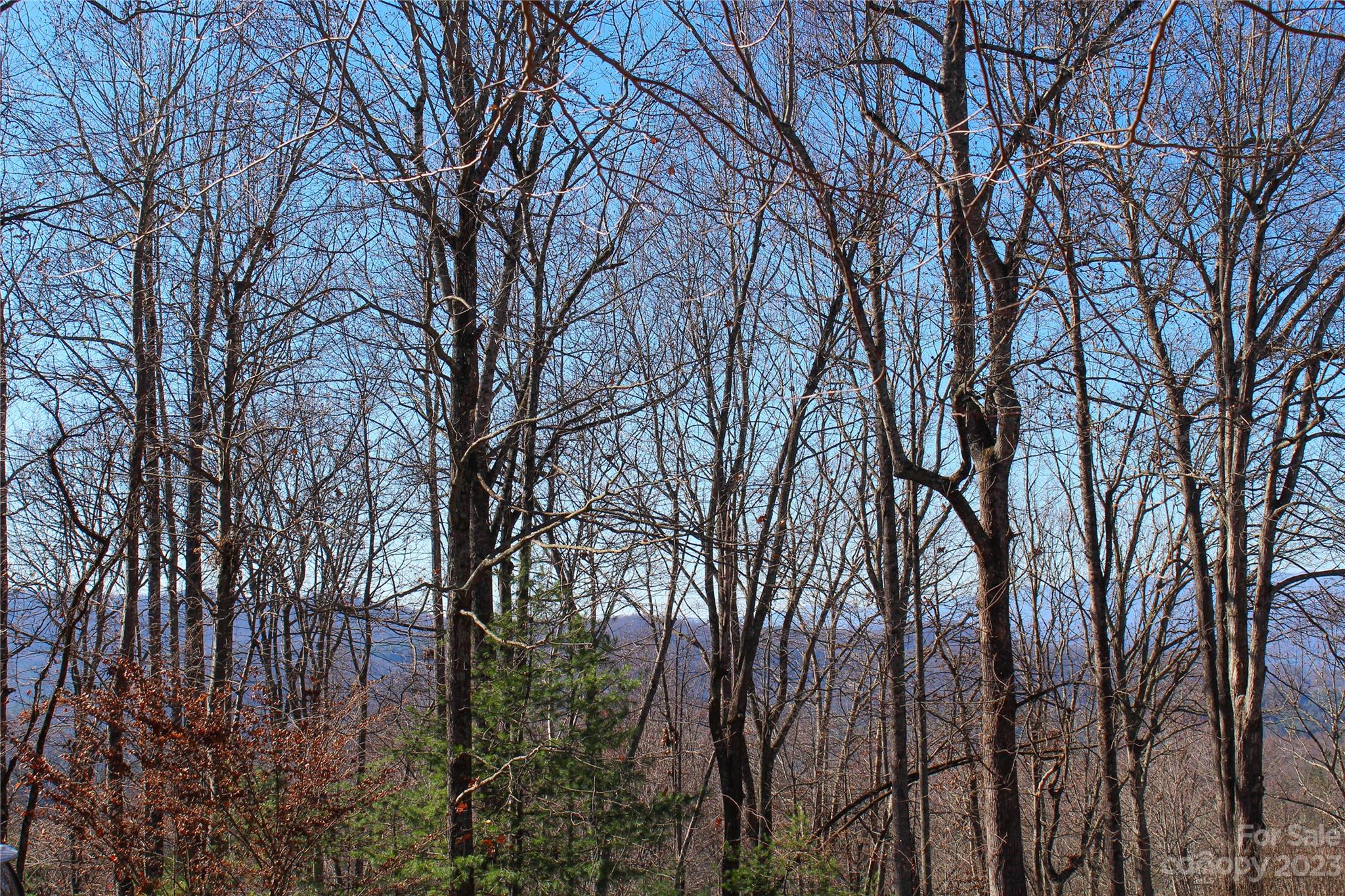 74 Poplar Forest Trace 107