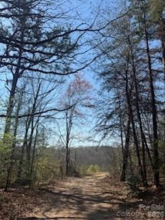 4675 Hickory Nut Ridge Road