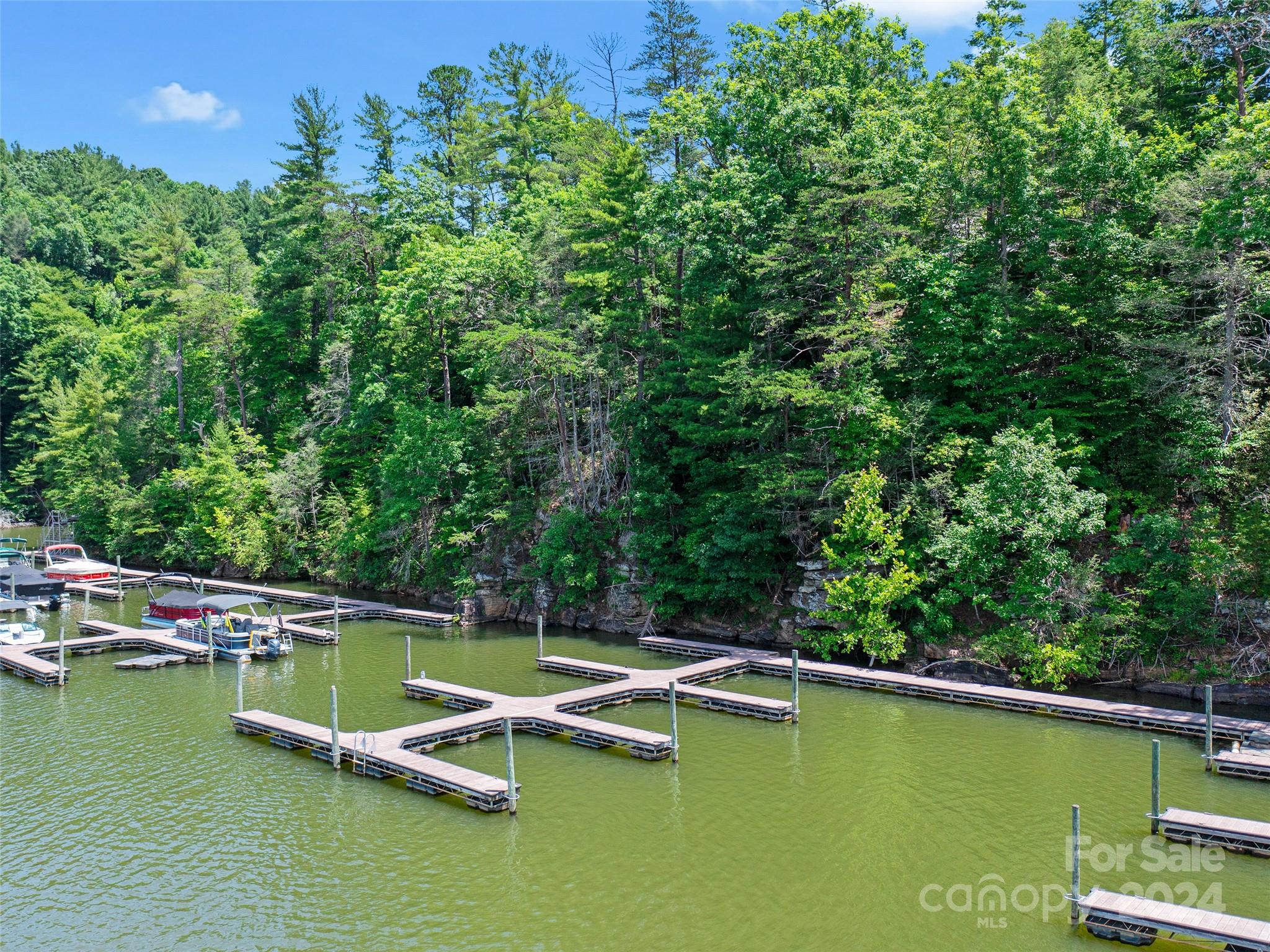 The Arbor at Lake James - Land