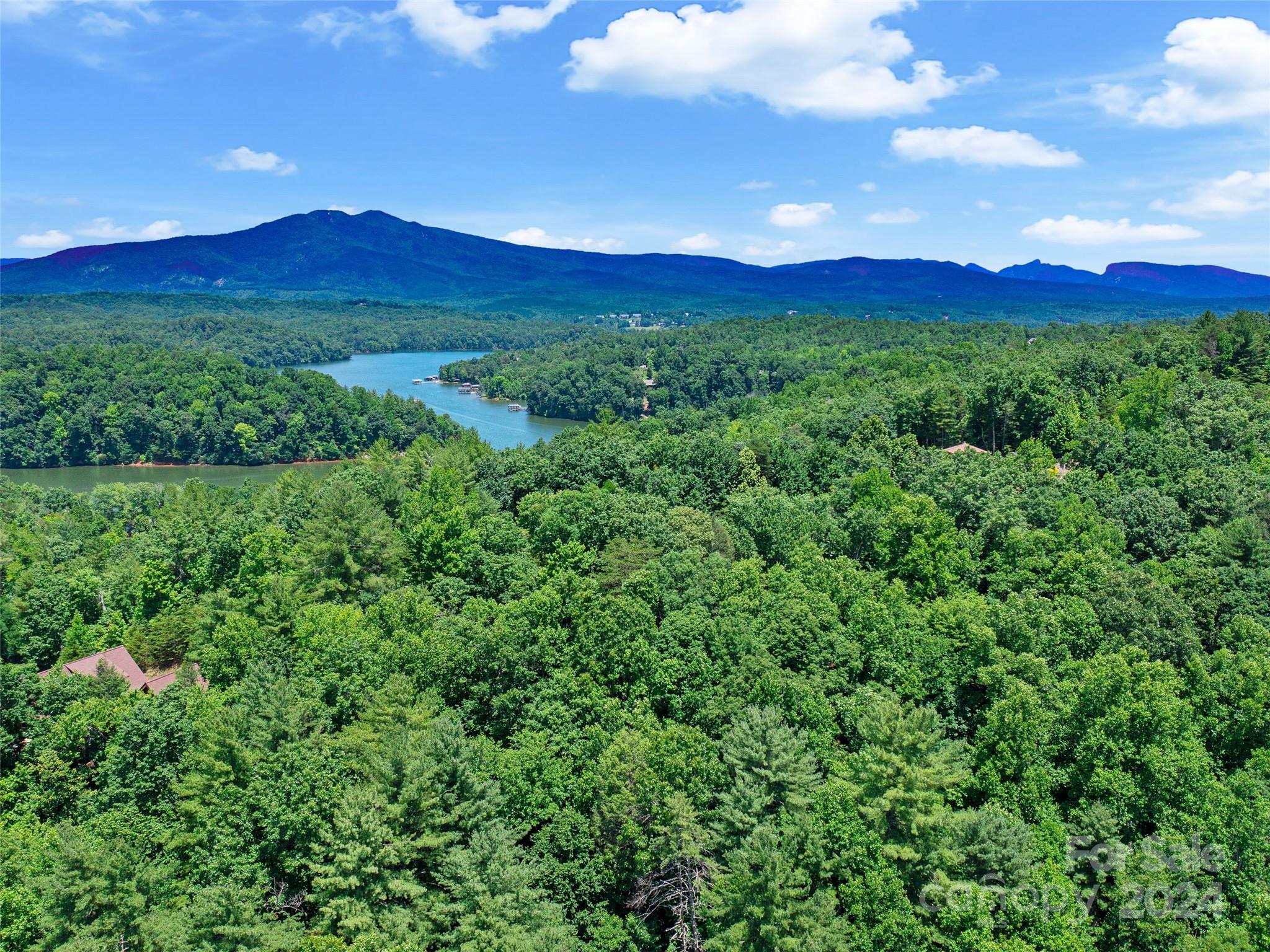 The Arbor at Lake James - Land