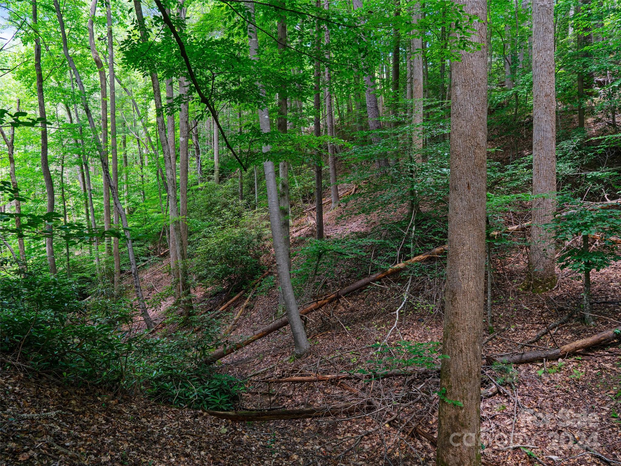 The Arbor at Lake James - Land