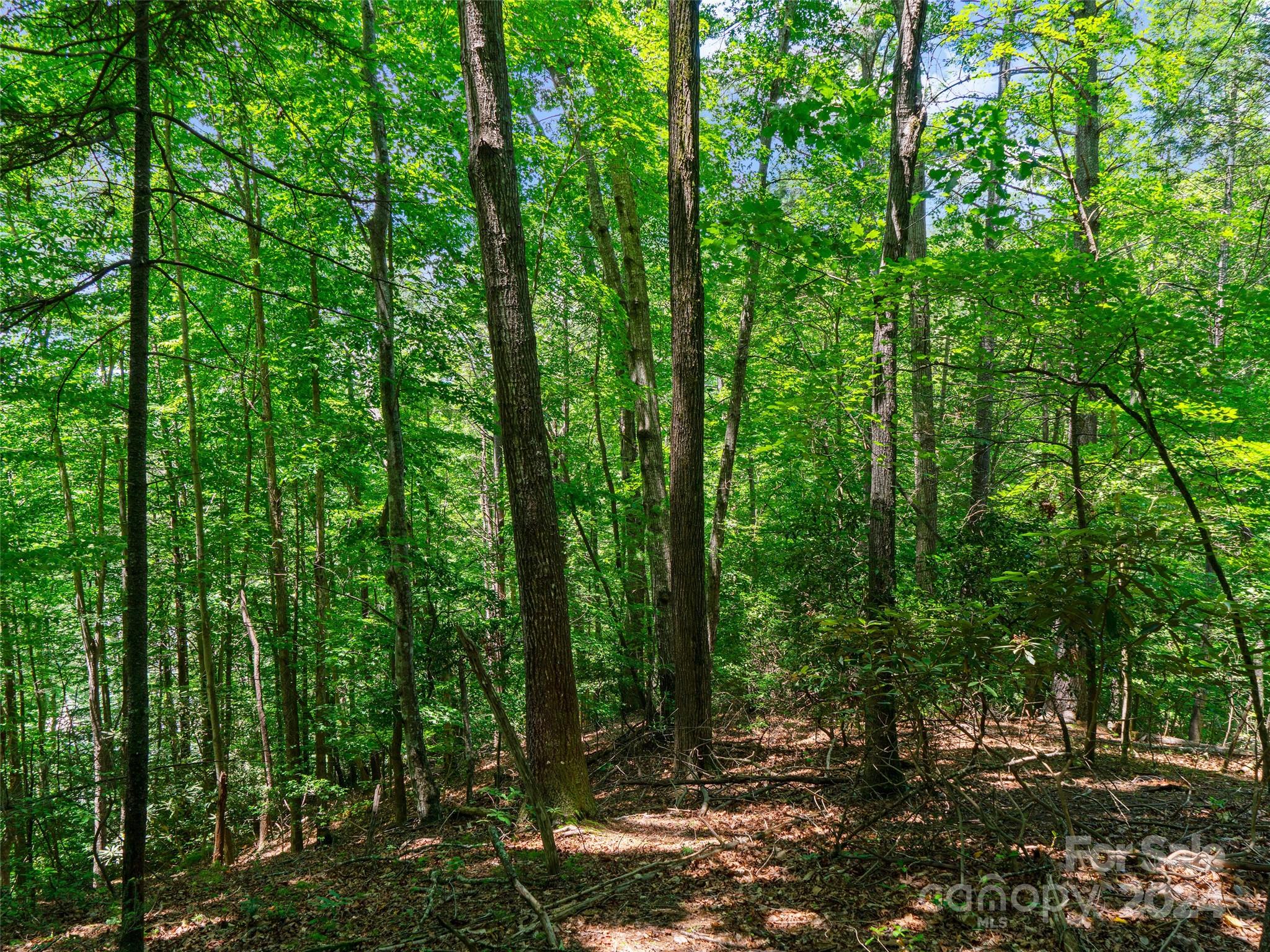 The Arbor at Lake James - Land