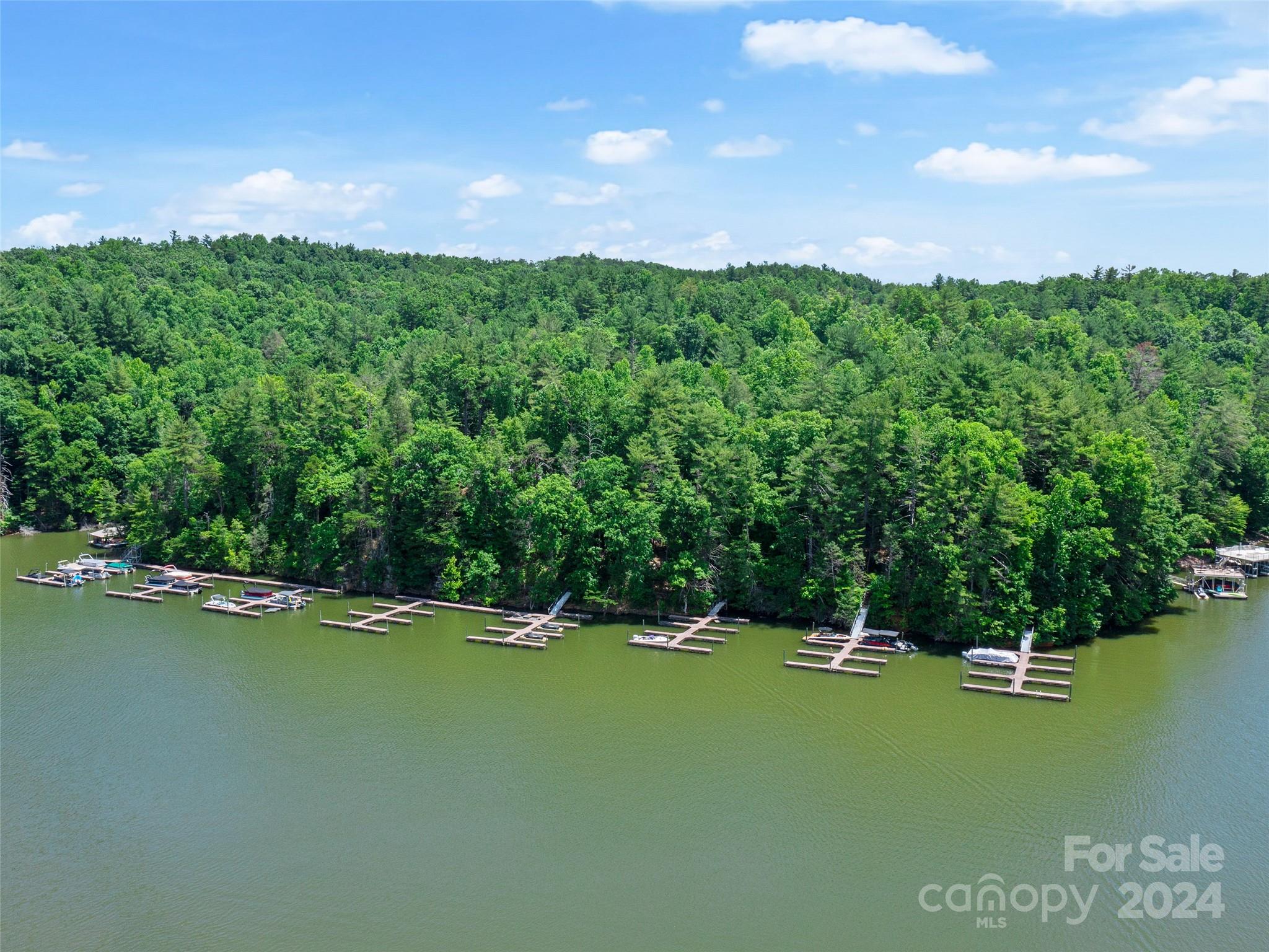 The Arbor at Lake James - Land