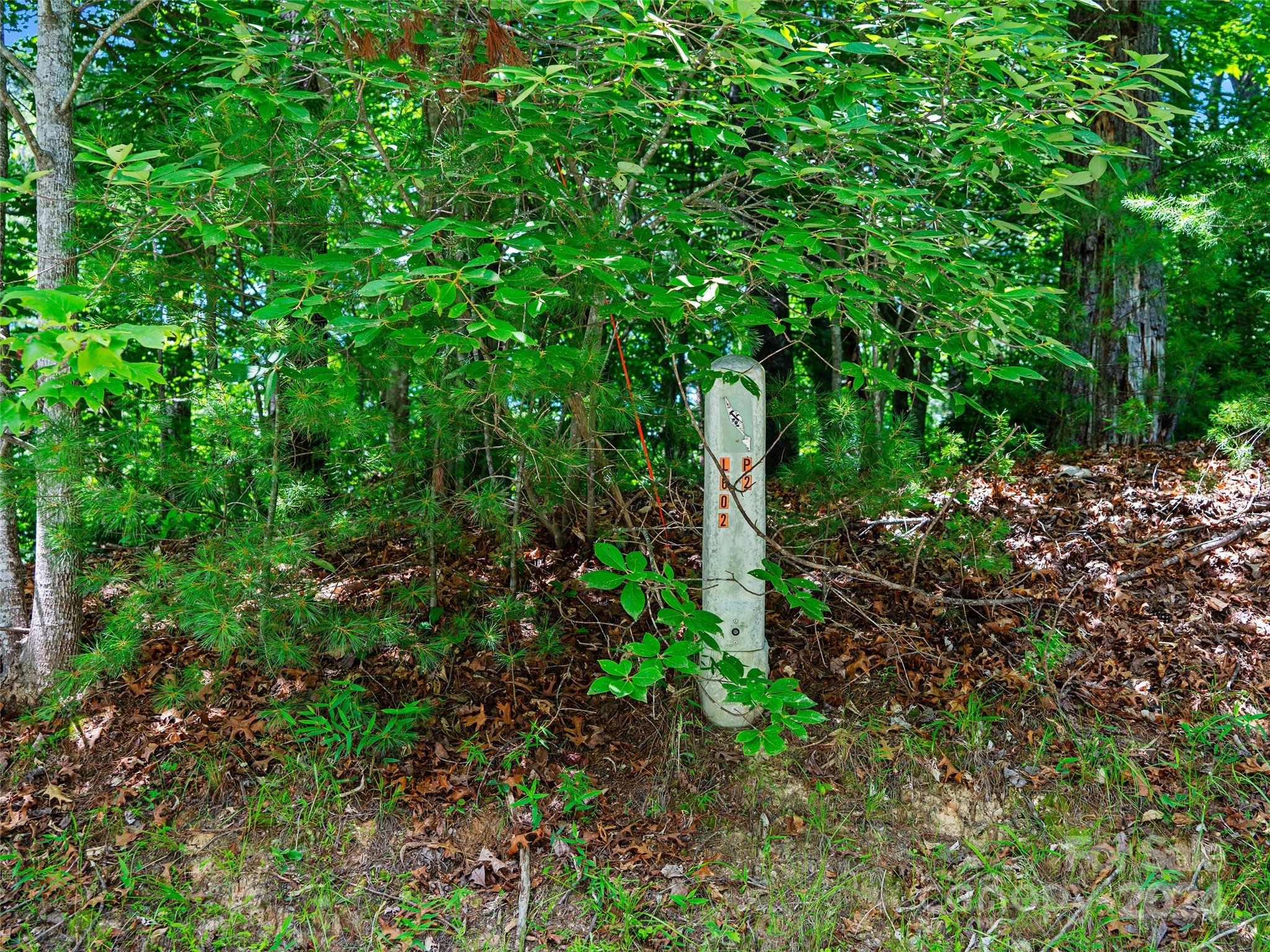 The Arbor at Lake James - Land