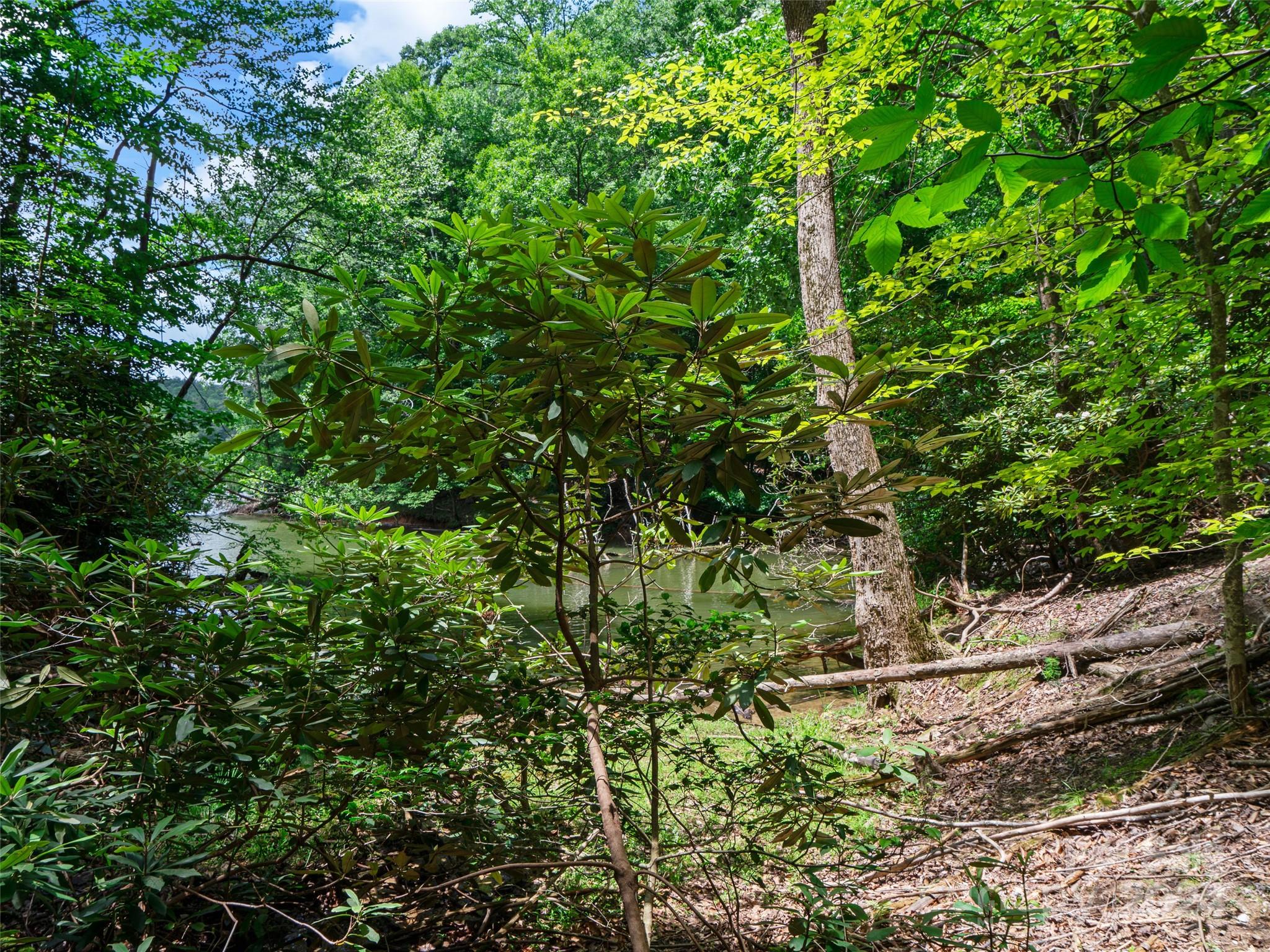 The Arbor at Lake James - Land