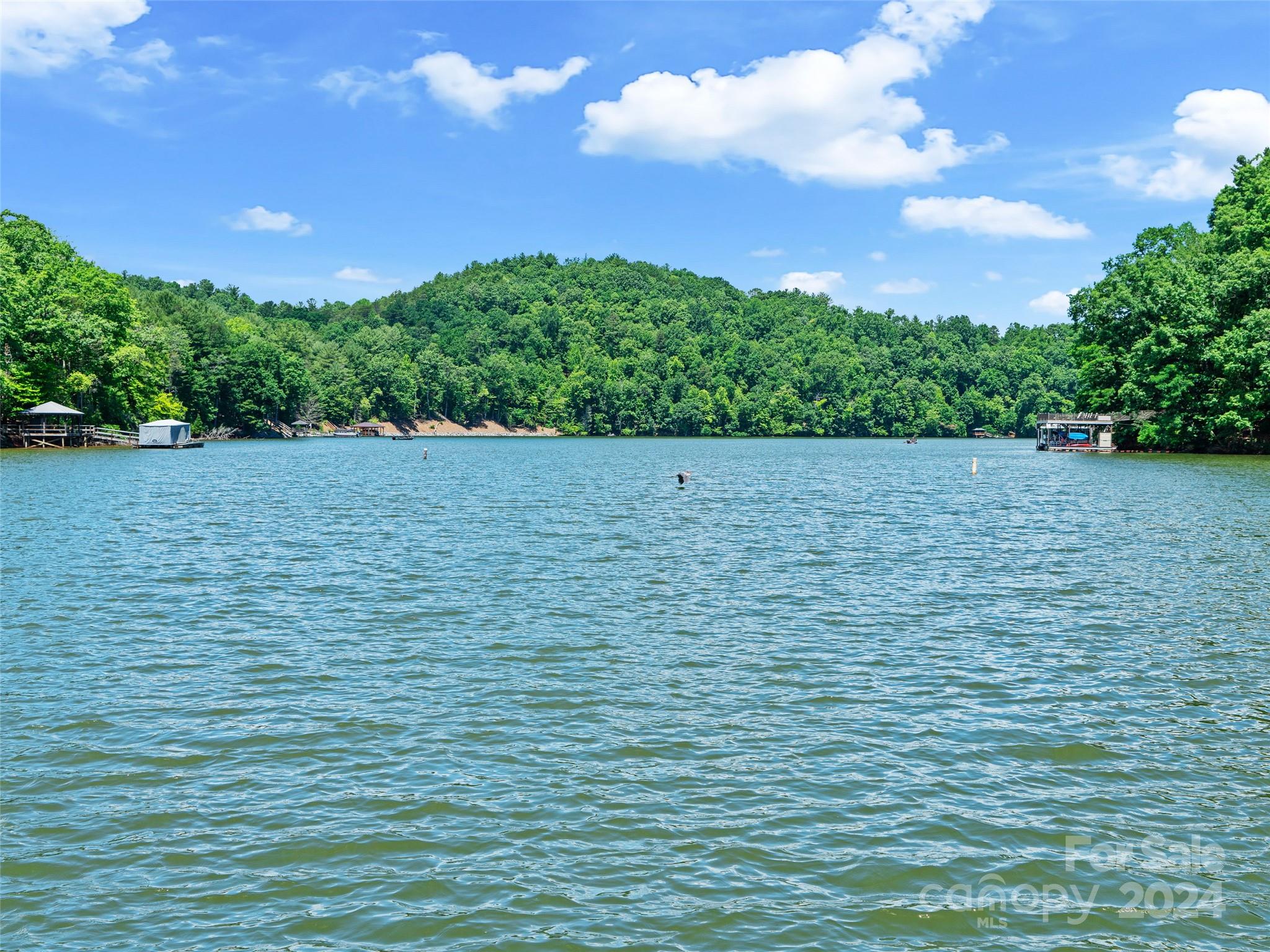 The Arbor at Lake James - Land