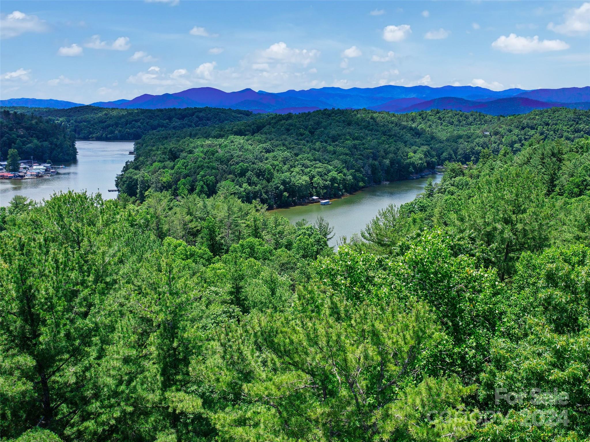 The Arbor at Lake James - Land