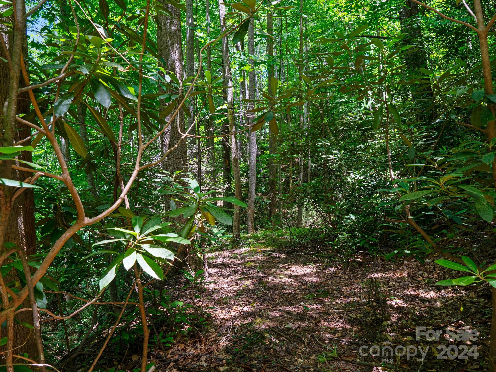 The Arbor at Lake James - Land