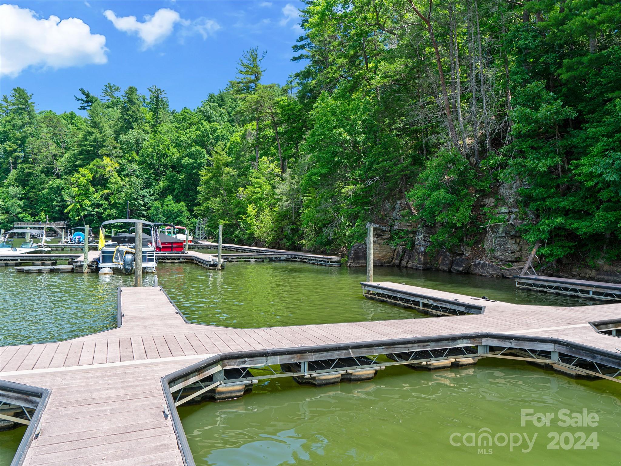 The Arbor at Lake James - Land