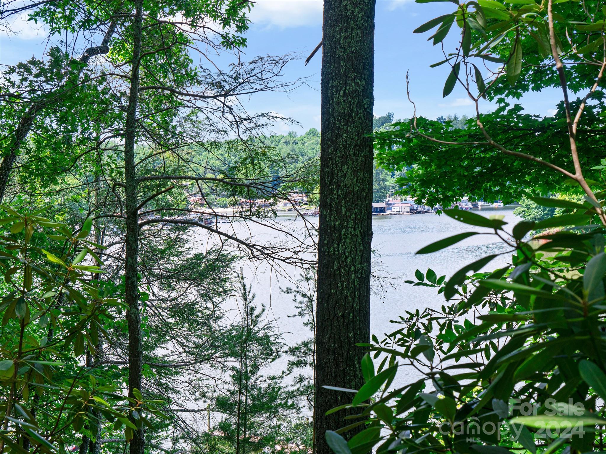 The Arbor at Lake James - Land