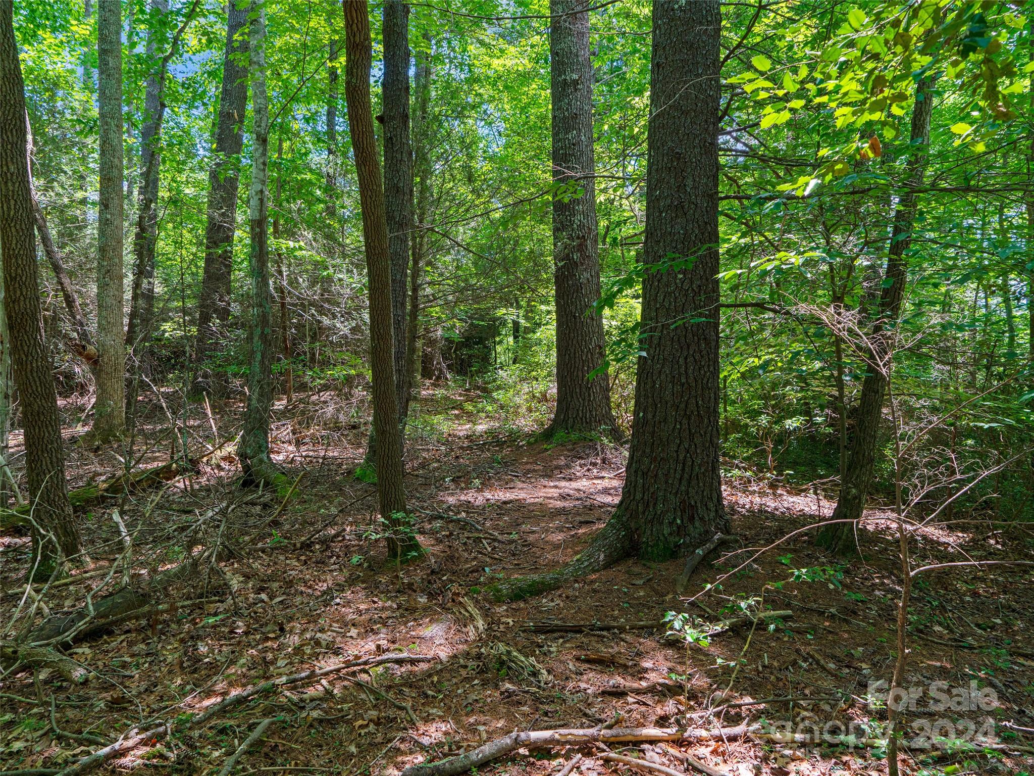The Arbor at Lake James - Land