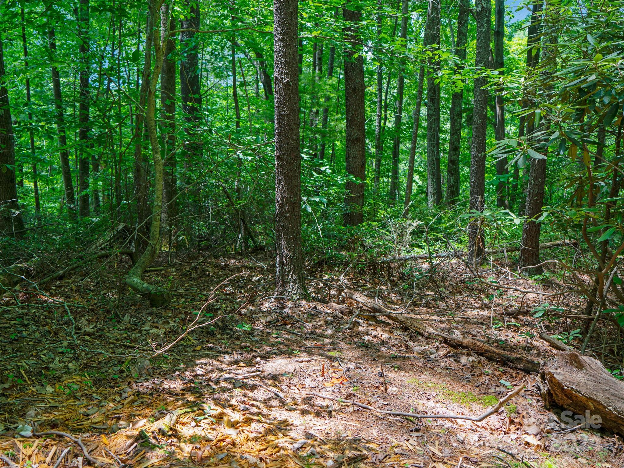 The Arbor at Lake James - Land