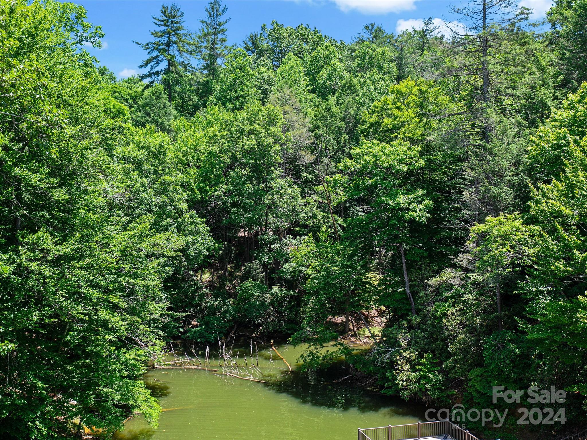 The Arbor at Lake James - Land