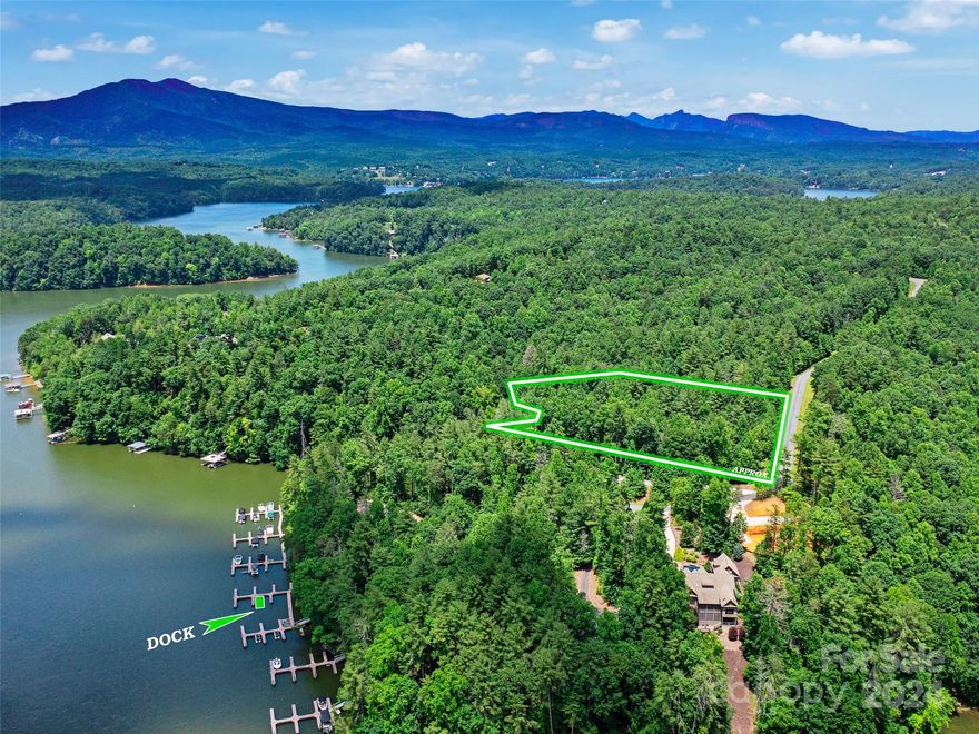 This sizable 3.17 acre lot in the popular Arbor at Lake James Gated subdivision has some beautiful environmental nature preserve lakefront with grassy flat area down on the water's edge. Current owners have met with contractor and already staked out a most fitting homesite. A successful perc test for septic system has been performed in years past. They also have ready to convey with lot a deeded boat slip (#59) around the corner within walking distance of the lot complete with restroom and outdoor entertaining Pavilion at the top and plenty of parking. Build your dream home on this lot with long range view of Lake in this beautiful wooded serene setting.