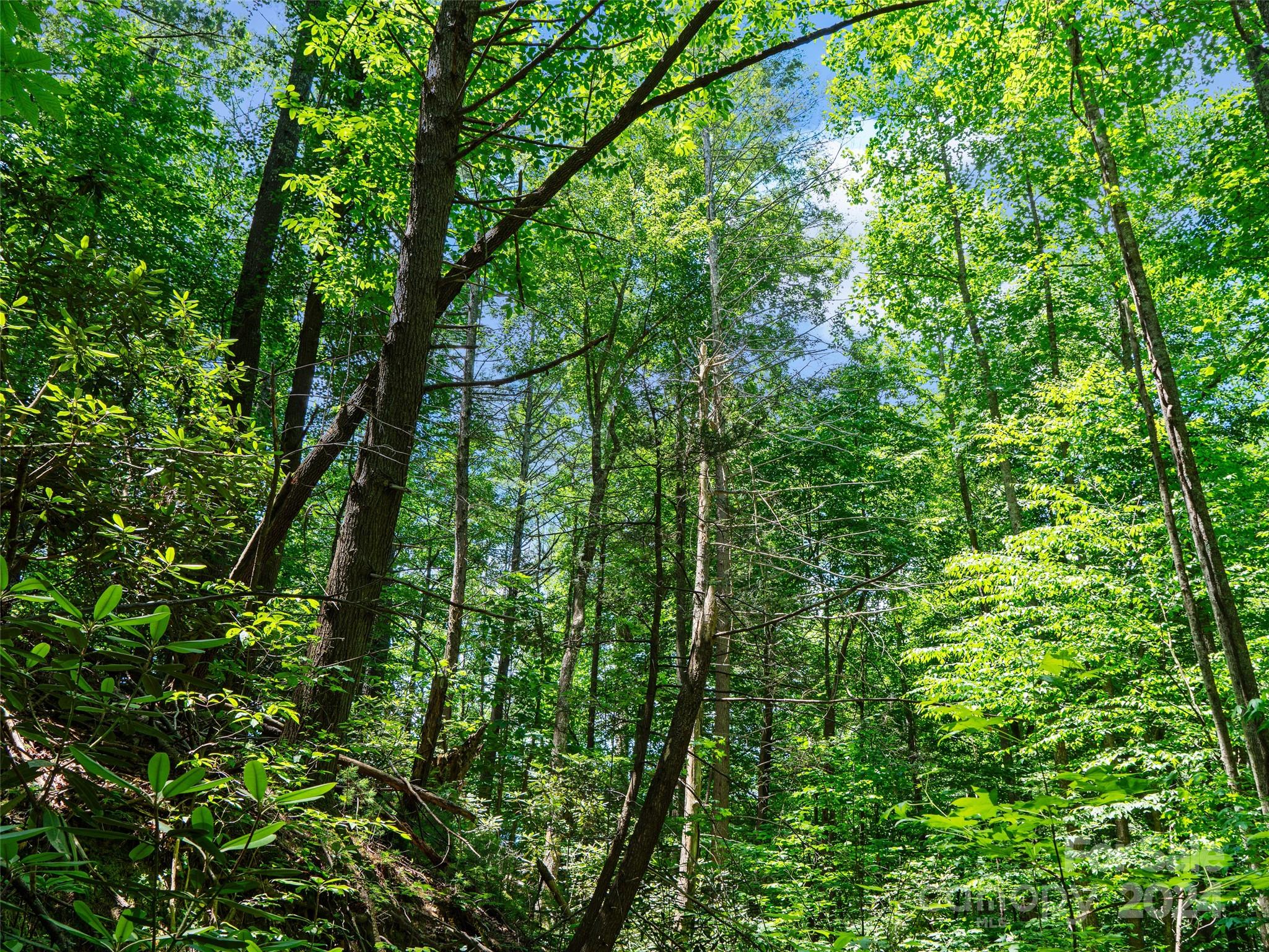 The Arbor at Lake James - Land