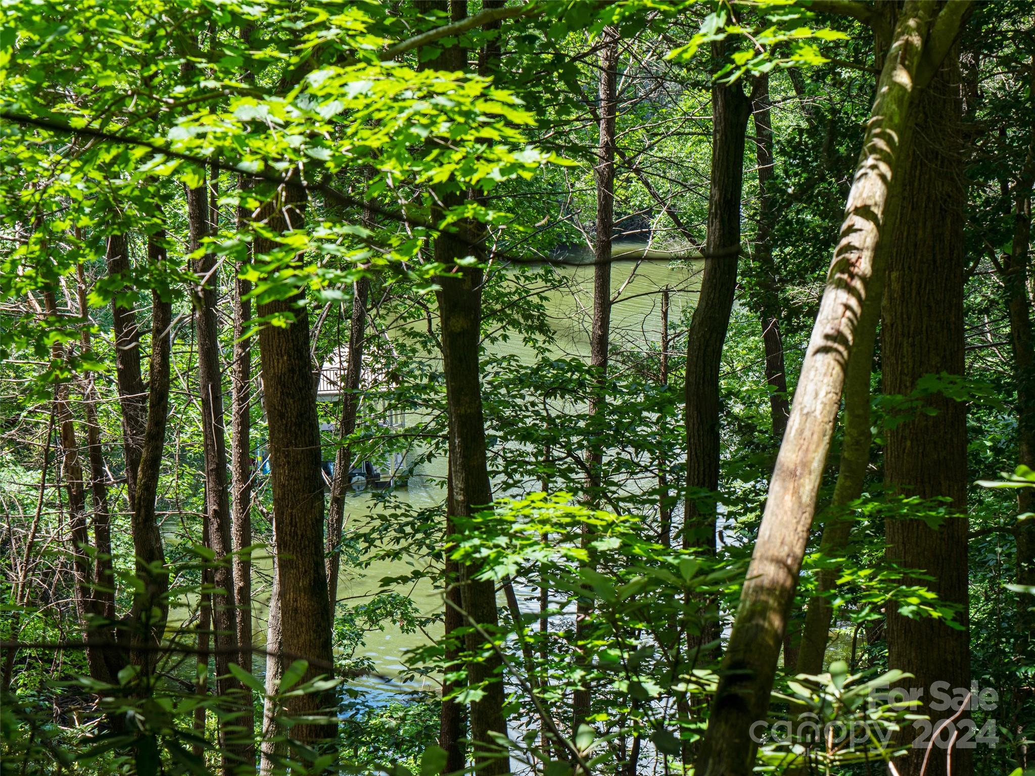 The Arbor at Lake James - Land