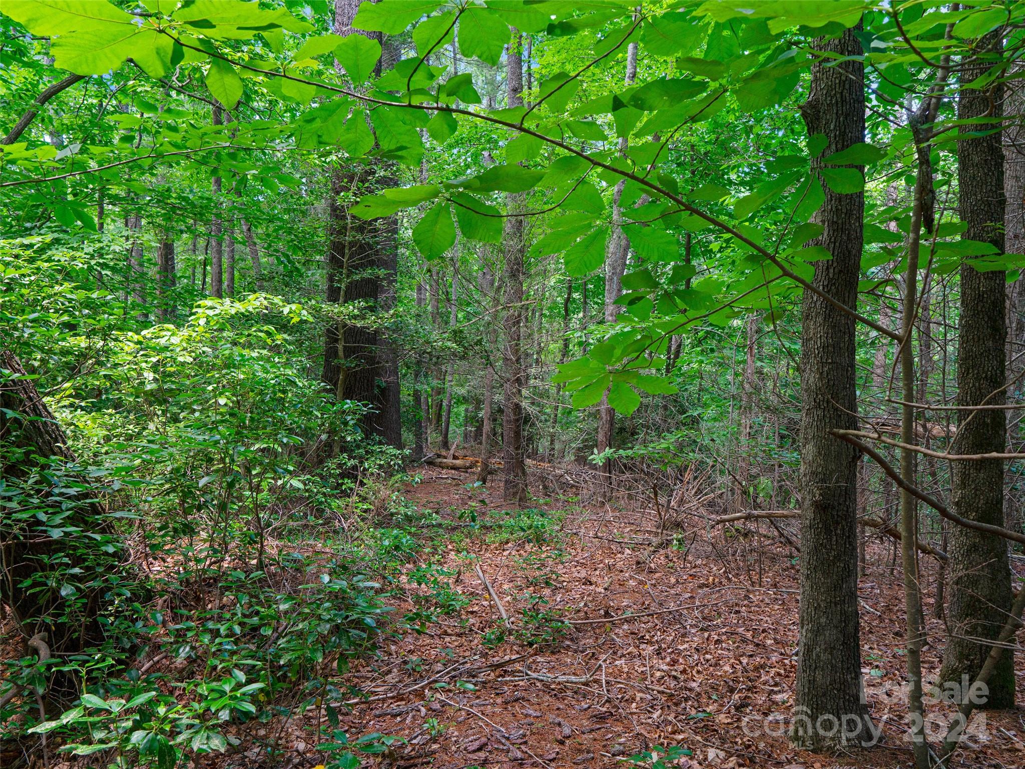 The Arbor at Lake James - Land