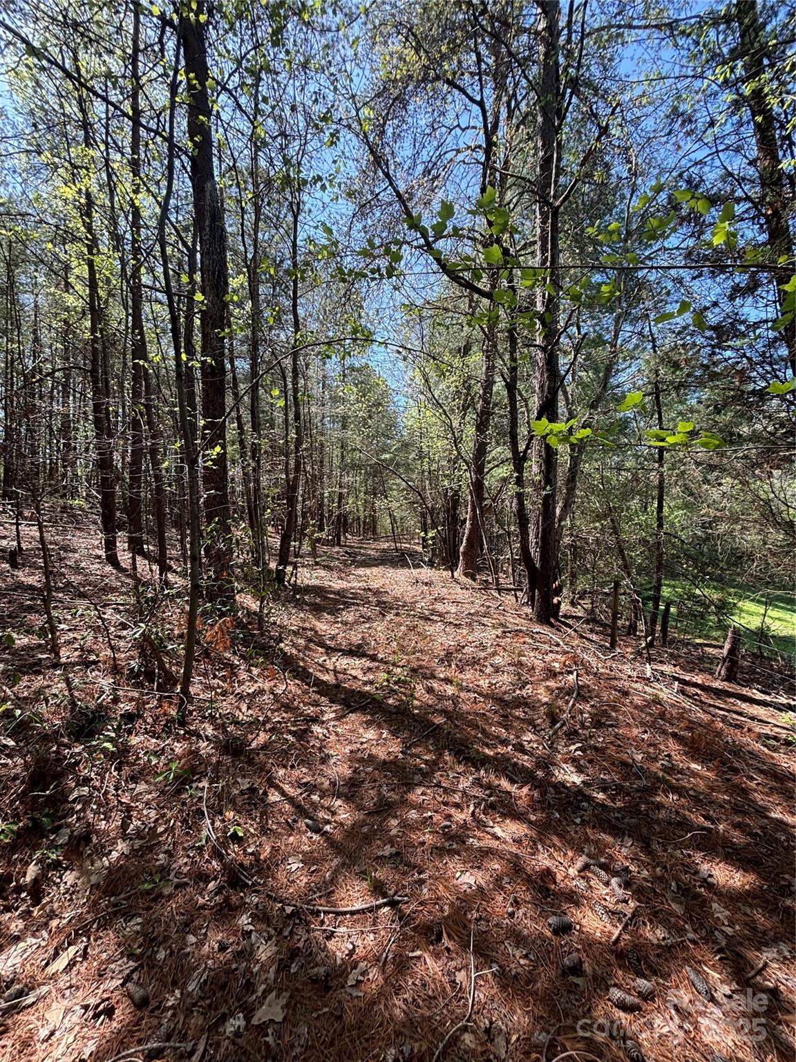 000 Sandy Plains Road