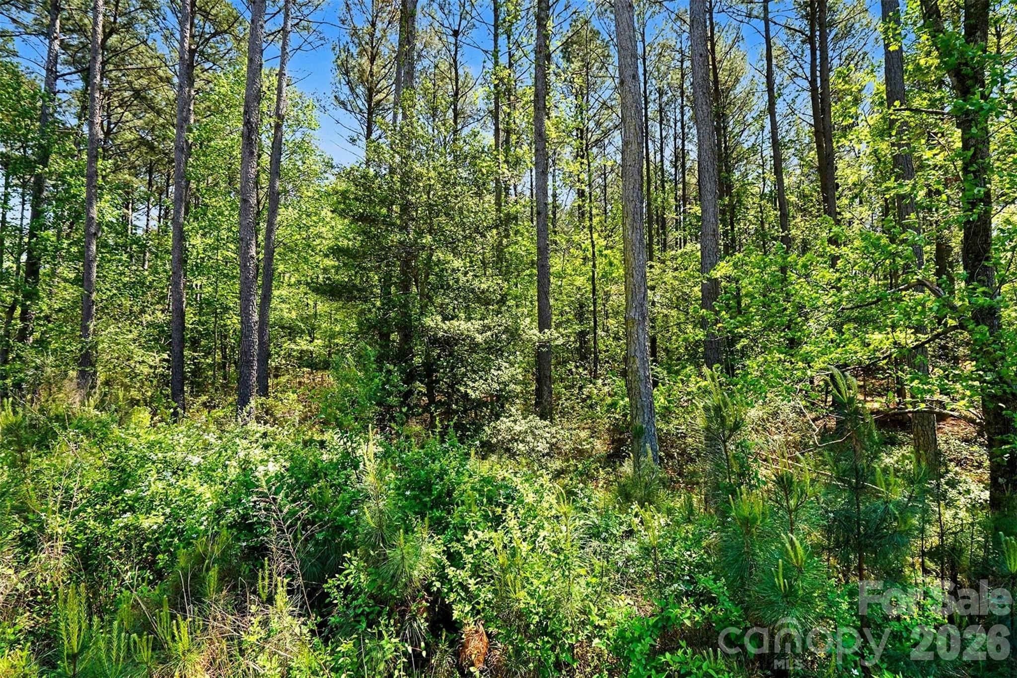 Riverchase Estates - Land