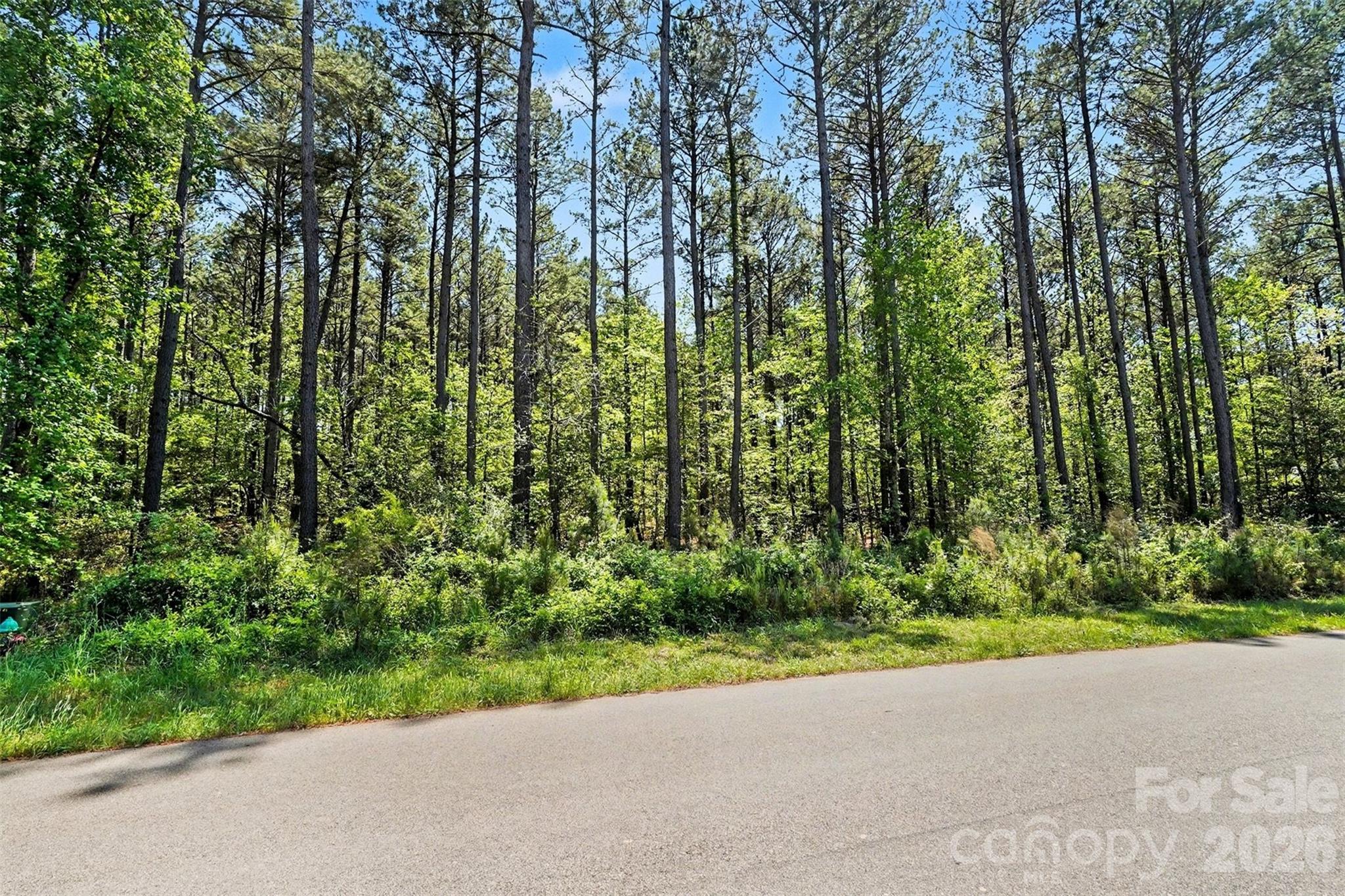 Riverchase Estates - Land