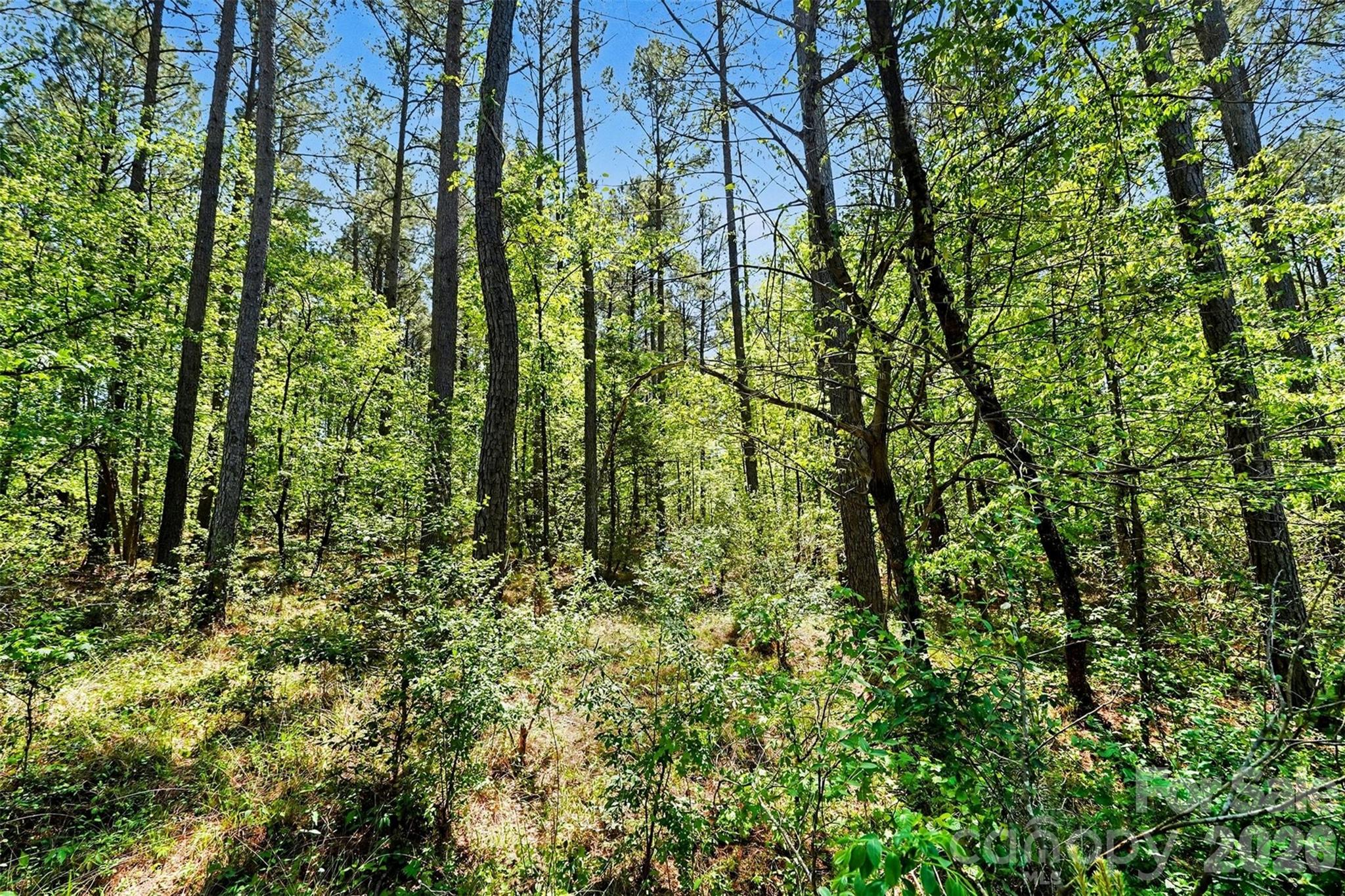 Riverchase Estates - Land