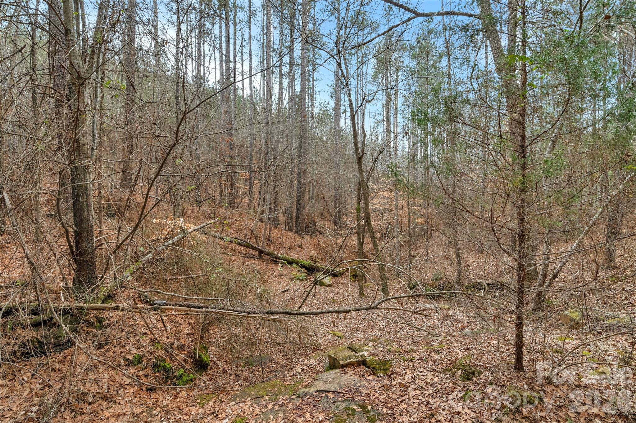 00 Woods Ferry Road 2