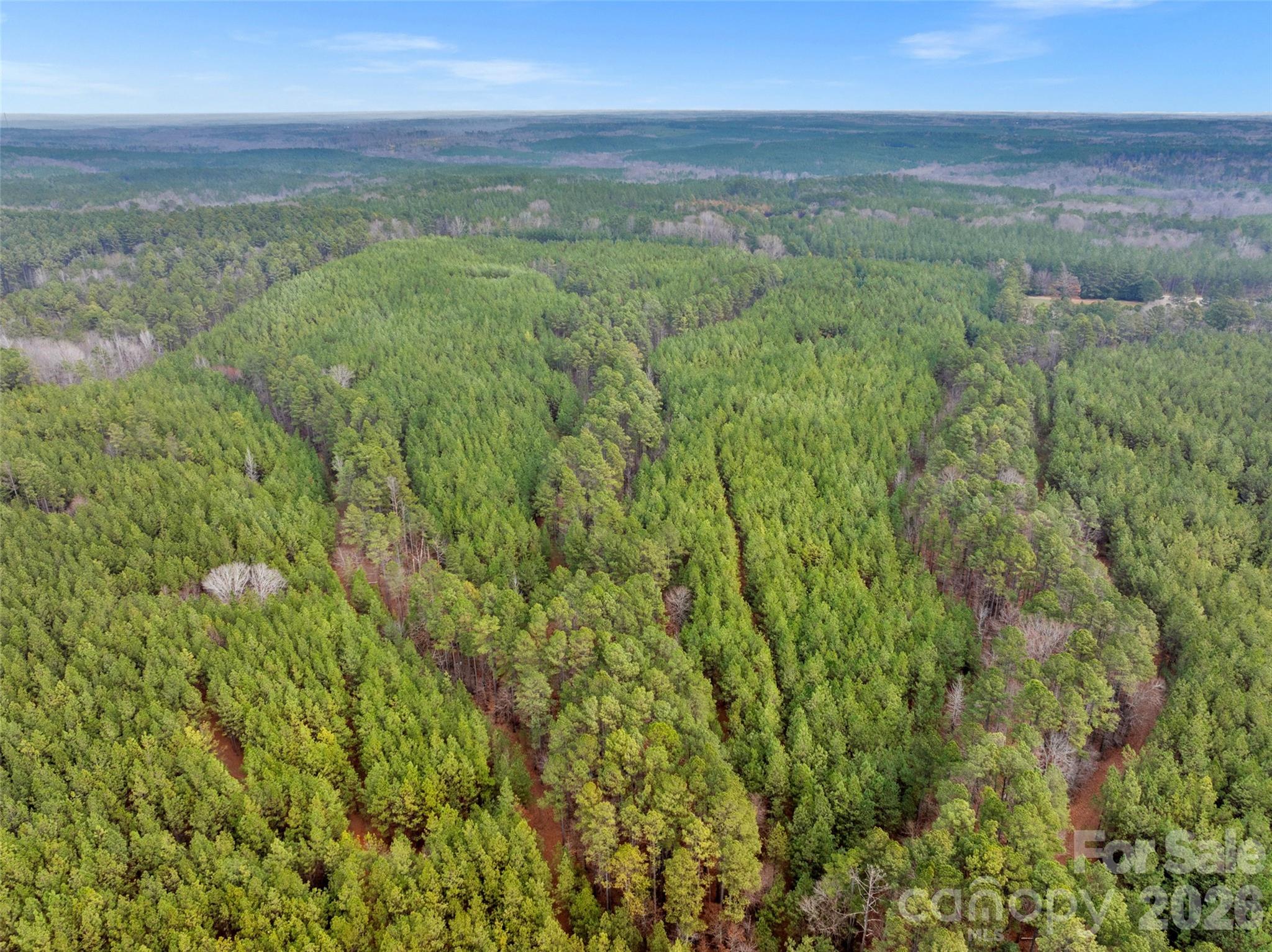 00 Woods Ferry Road 2