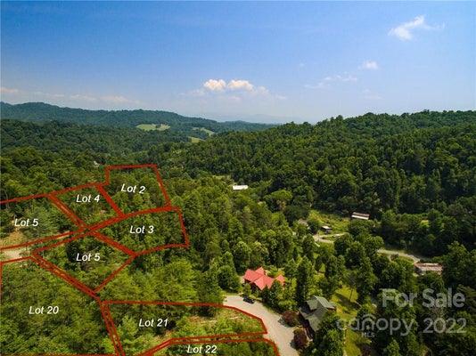 21 THE VINES BLVD, MARSHALL, NC 28753 - Image 8c73a2e34ded834401e551b46eae0e80/4232408558