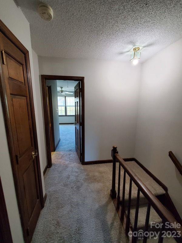 Park Walk - Residential