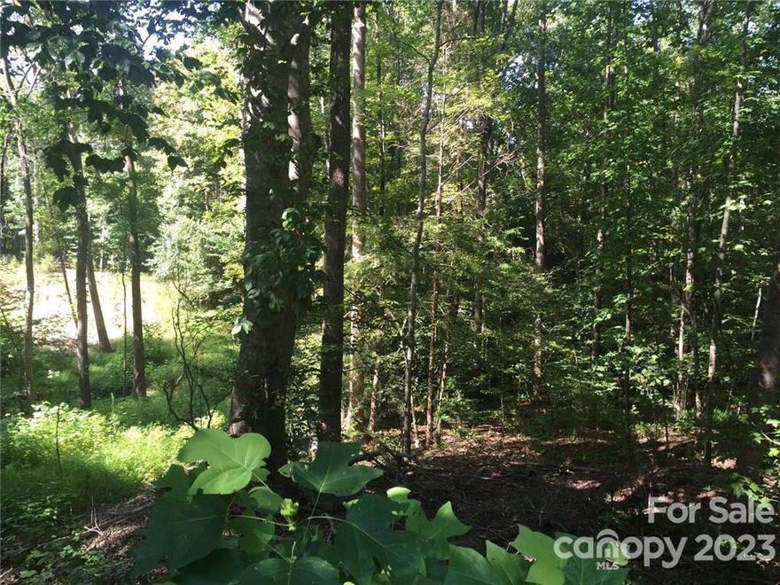 Here is an amazing opportunity to build your perfect dream home in the highly coveted area of DOWNTOWN WAXHAW!  This property is located within walking distance from Waxhaw Elementary School and Downtown Waxhaw! What convenience!  The property includes 1.76 acres, and was previously PERC'd for a five (5) bedroom home.  One more thing...NO HOA!!!!!!  Drive by today and take a look!  You will not be disappointed!