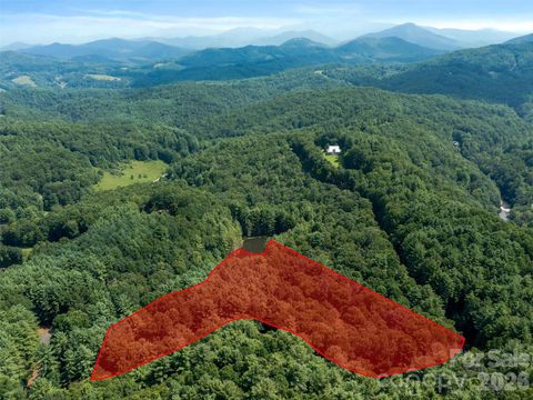 99999 Gordon Lane Burnsville NC 28714