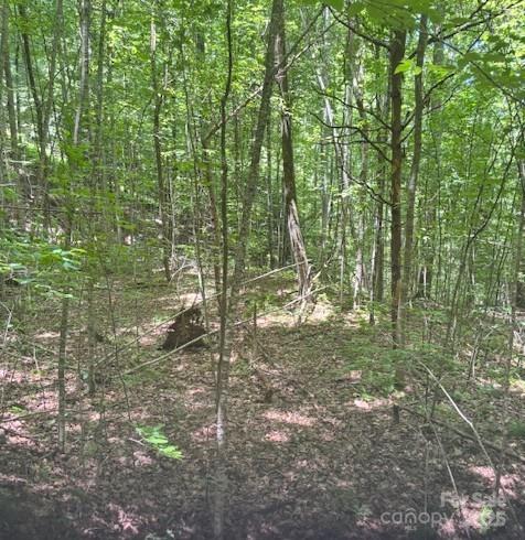 00 Macs Mountain Retreat Lane