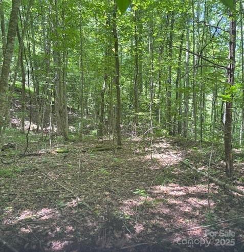00 Macs Mountain Retreat Lane