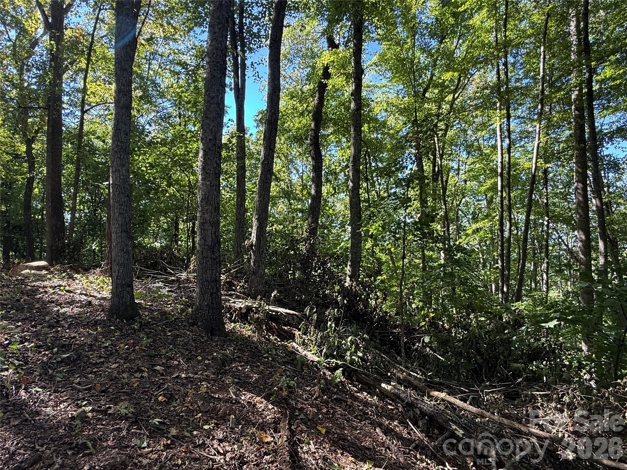 9999 Elk Ridge Drive Parcel B