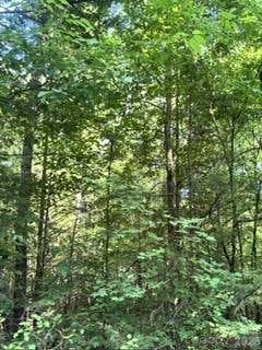 Photo of TBA Ricks Road, Sharon, SC 29742 (MLS # 4392196)